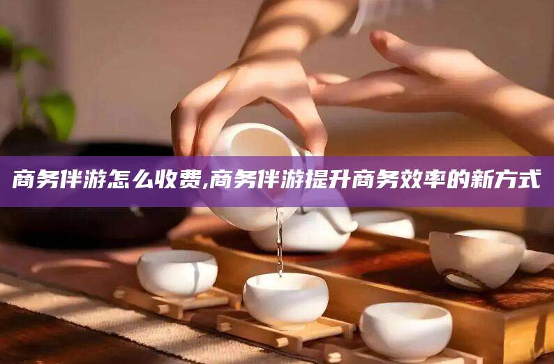 海门商务伴游怎么收费,商务伴游提升商务效率的新方式